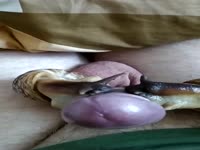 They crawl slowly then BIG cumshot